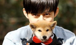 勇闯娱乐圈的男人吃瓜,揭秘男星吃瓜背后的故事